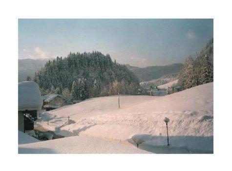 Sport-Alpin-Wohnung-1 Oberstdorf Eksteriør billede